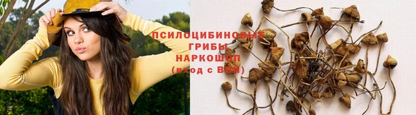 твердый Алзамай