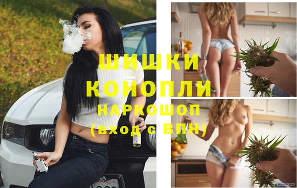 твердый Алзамай