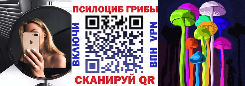 закладка  Березники  Псилоцибиновые грибы мицелий 