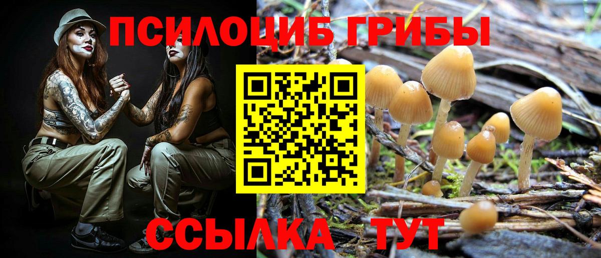 Псилоцибиновые грибы Psilocybe  Вход с VPN  Галлюциногенные грибы MAGIC MUSHROOMS  Березники 